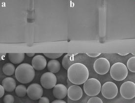 高性能聚合物乳液制備新技術(shù)及其在水性木器涂料中的使用