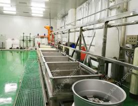 龍門式|槽式電泳設(shè)備